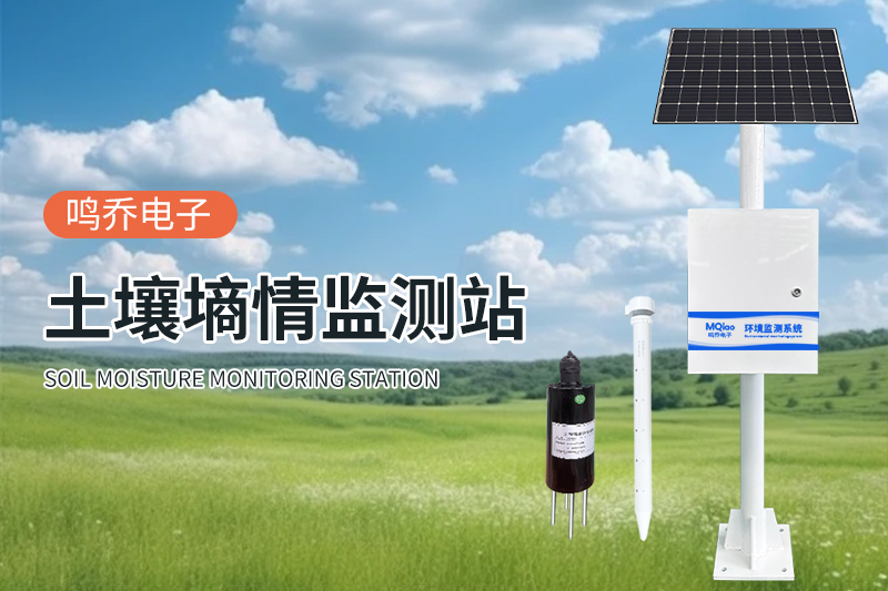 管式土壤剖面水分仪：精准监测土壤水分的利器