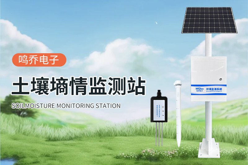 土壤水分自动监测系统：精准农业的智能守护者